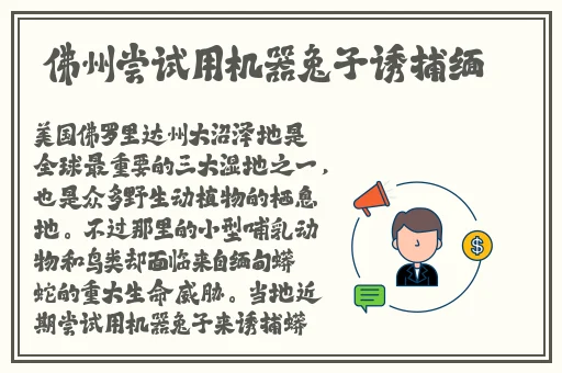 c17吃瓜爆料